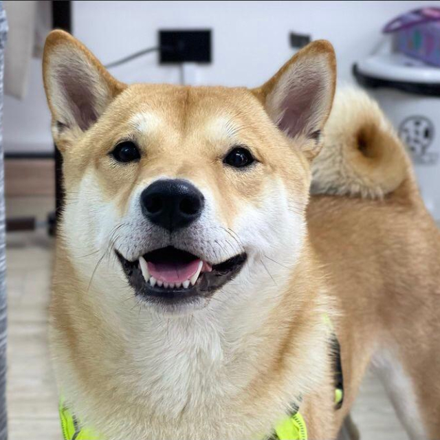 kori